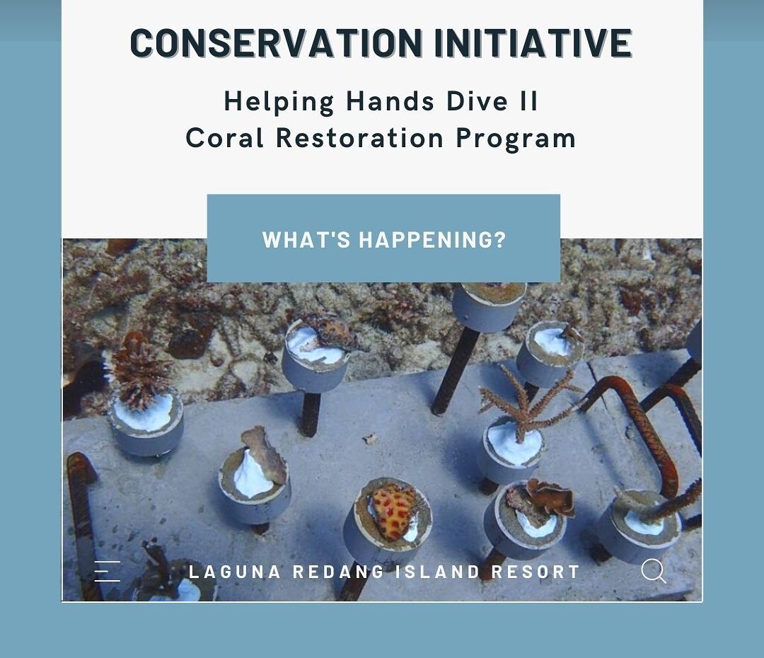 Coral Restoration Program